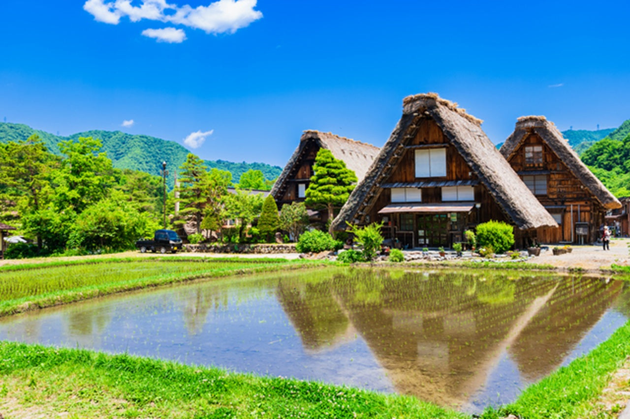 3-Day Japan Golden Route: Tokyo, Japanese Alps, Shirakawa-go & Kyoto