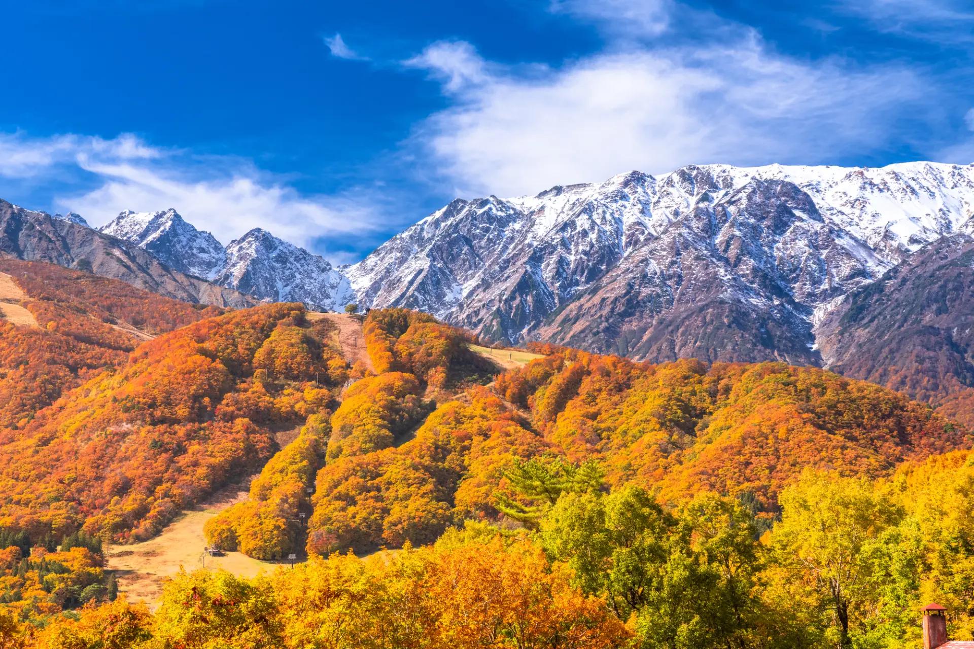 2026 Autumn - Maple Leaves, Alps, Golden Route and Wagyu specialization