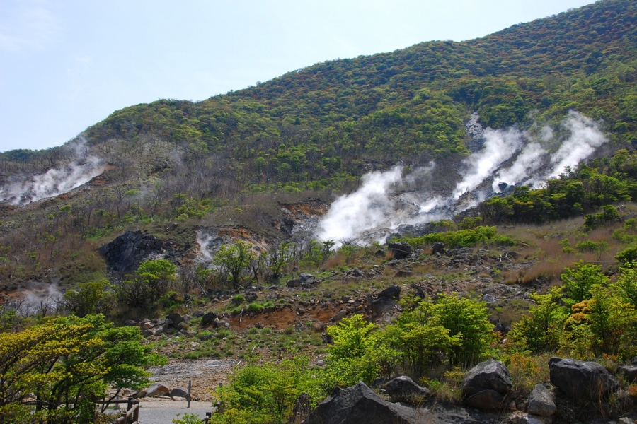 Mt. Fuji & Hakone Day Tour | Owakudani Volcanic Valley hiking & Lake Ashi Torii（Including tour guide）