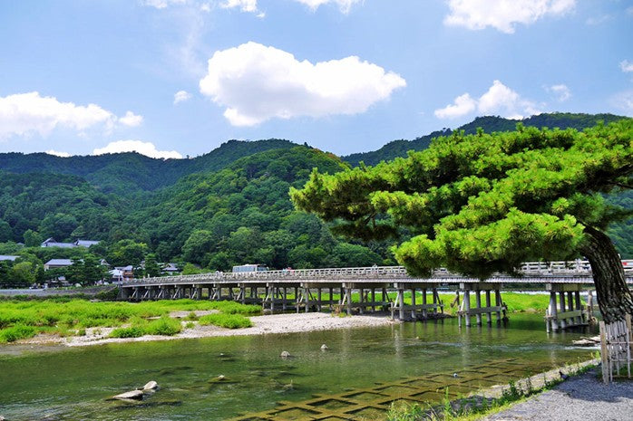 【Early Bird SALE for $20 off】Kyoto & Nara Day Trip from Osaka – Private Car Charter (Arashiyama, Fushimi Inari, Nara Park)