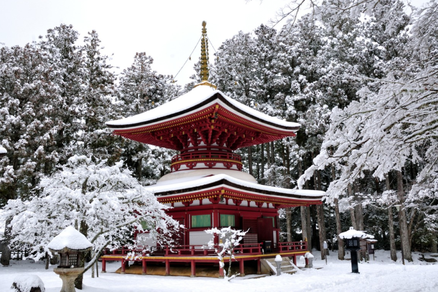 Mount Koya Day Tour | Okunoin, Danjo Garan + Shojin‑ryori Lunch & Sutra Copying（Including tour guide）