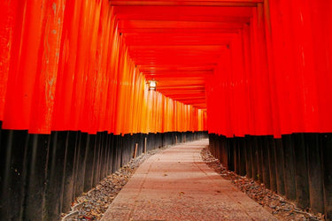 【Early Bird SALE for $20 off】Kyoto & Nara Day Trip from Osaka – Private Car Charter (Arashiyama, Fushimi Inari, Nara Park)