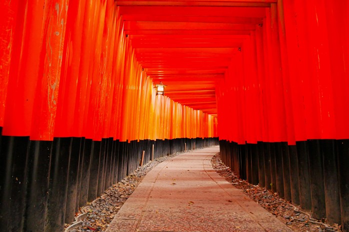 【Early Bird SALE for $20 off】Kyoto & Nara Day Trip from Osaka – Private Car Charter (Arashiyama, Fushimi Inari, Nara Park)