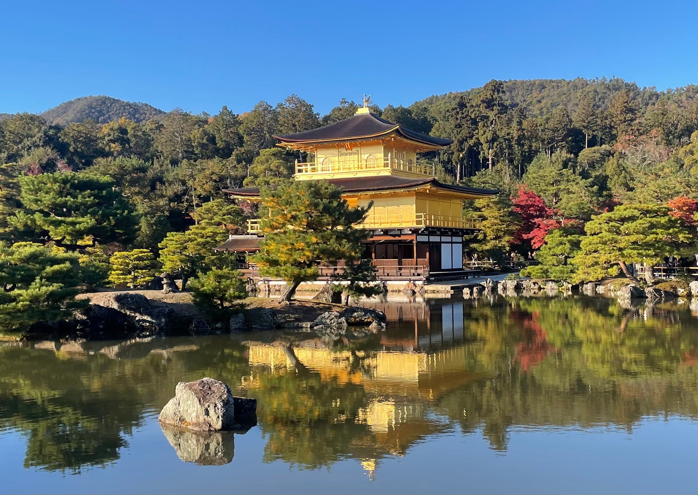 【Early Bird SALE for $20 off】Kyoto & Nara Day Trip from Osaka – Private Car Charter (Arashiyama, Fushimi Inari, Nara Park)
