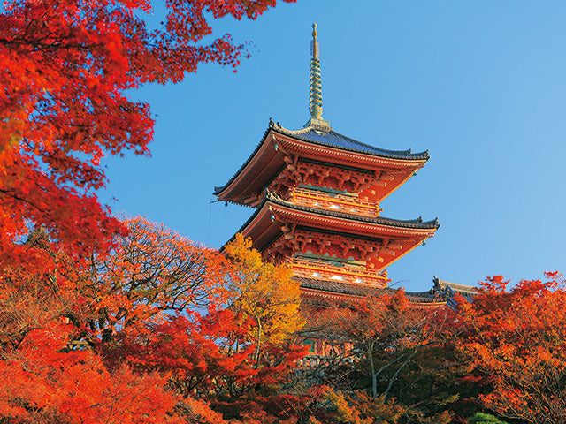 Kyoto Day Trip from Osaka | Kibune, Kiyomizu‑dera & Uji Tea Town (Private Car)