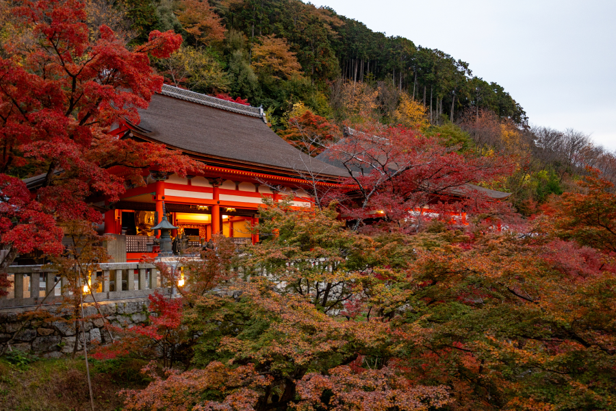 Kyoto Day Trip from Osaka | Kibune, Kiyomizu‑dera & Uji Tea Town (Private Car)