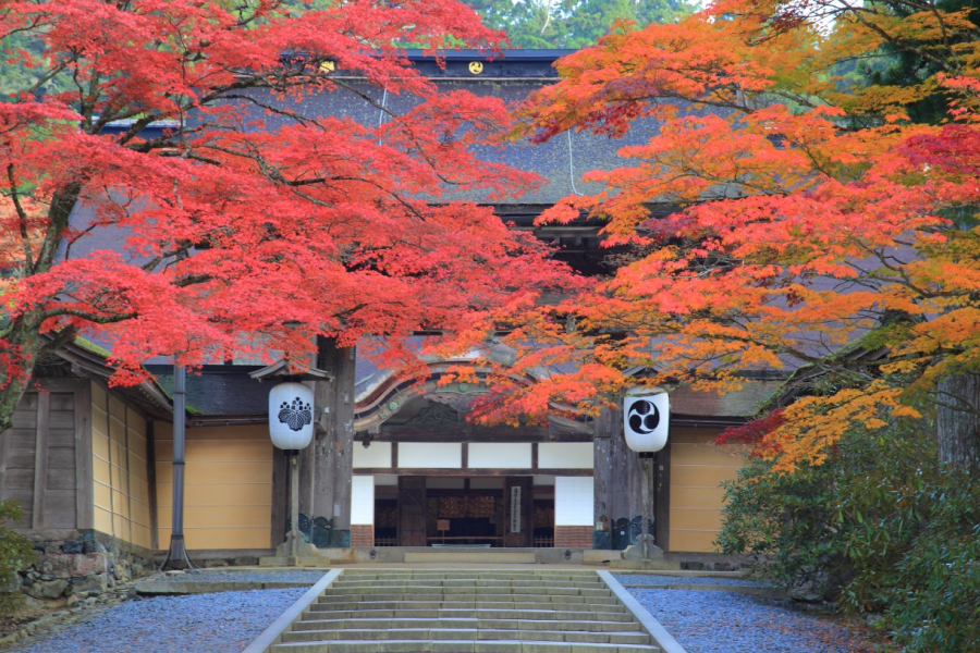 Mount Koya Day Tour | Okunoin, Danjo Garan + Shojin‑ryori Lunch & Sutra Copying