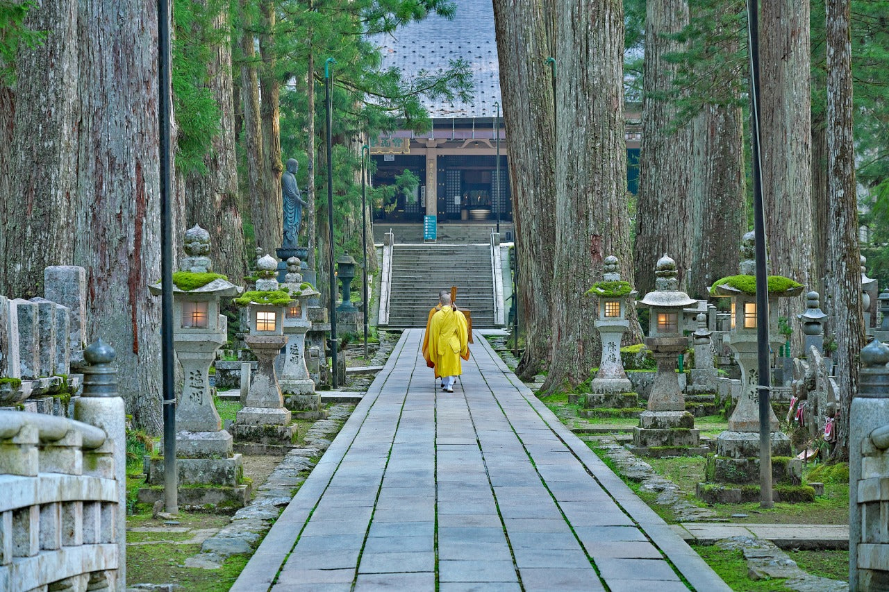 Mount Koya Day Tour | Okunoin, Danjo Garan + Shojin‑ryori Lunch & Sutra Copying（Including tour guide）