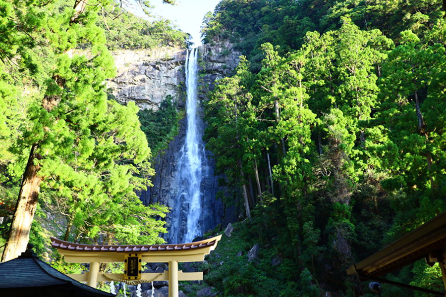 World Heritage Kumano Kodo Hiking & Culture Immersion  3‑Day Tour（Including tour guide）