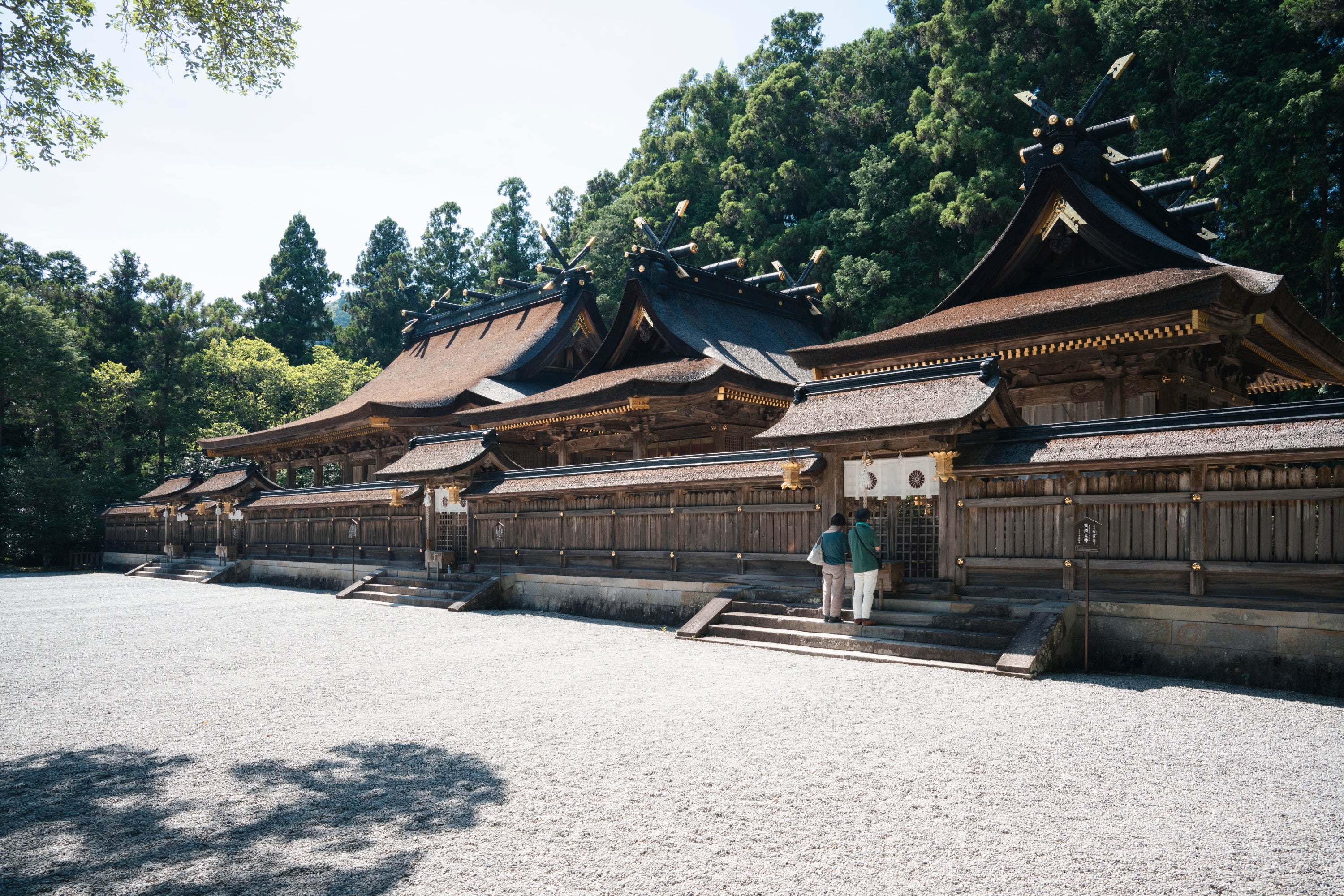 Kumano Kodo Easy Hike Day Trip from Osaka | Explore Japan’s UNESCO Heritage Trail