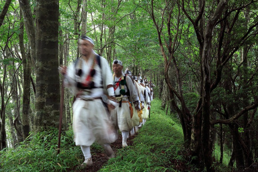 Kumano Kodo Easy Hike Day Trip from Osaka | Explore Japan’s UNESCO Heritage Trail（Including tour guide）