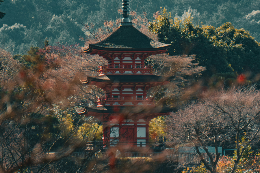 Kyoto Day Trip from Osaka | Kibune, Kiyomizu‑dera & Uji Tea Town (Private Car)