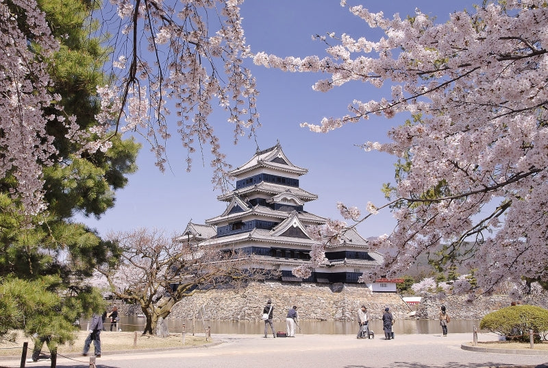 Matsumoto & Tsumago-juku & Takayama 3-Day tour from Tokyo only for 2026 Sakura season（Including tour guide）