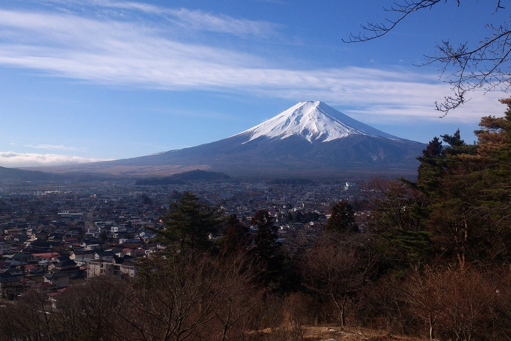 Mt. Fuji & Hakone Private Discovery | Flexible Day Trip with private car