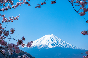 Mt. Fuji & Hakone Day Tour | Owakudani Volcanic Valley hiking & Lake Ashi Torii（Including tour guide）