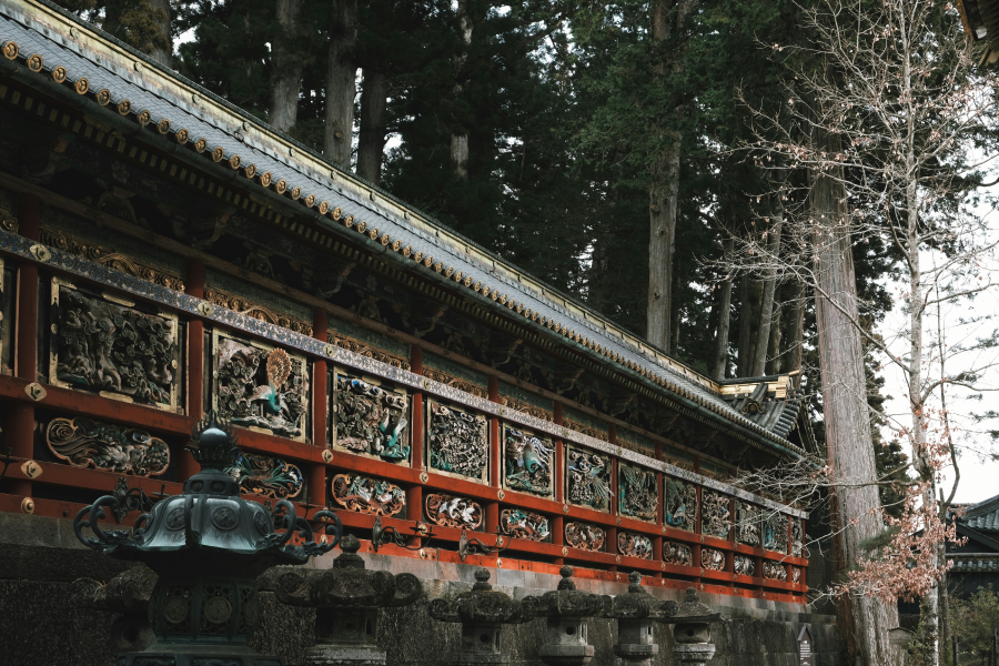 Nikko Culture & Nature Day Tour (Public Transport + English Guide) | Toshogu, Ryuzu Falls & Marsh Walk