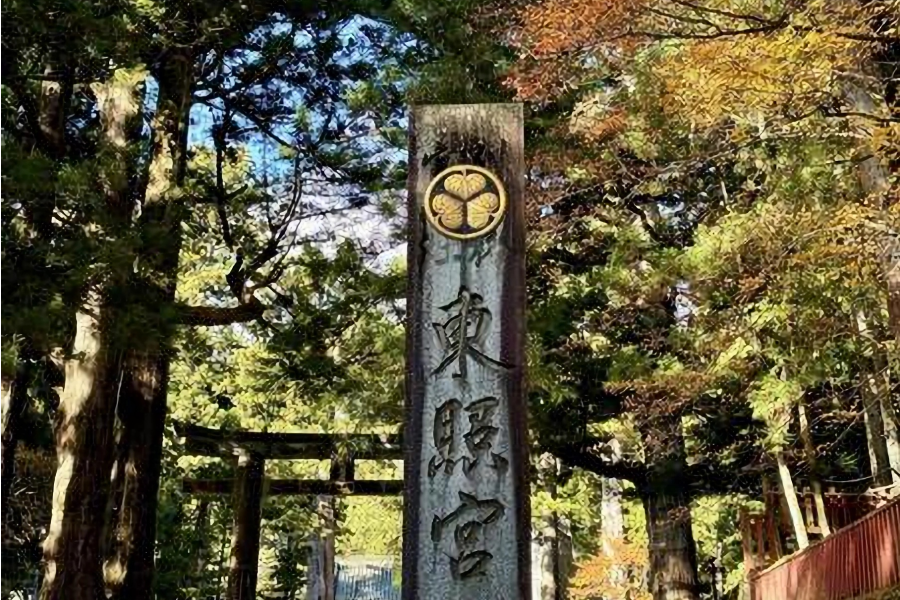 Nikko Culture & Nature Day Tour (Public Transport + English Guide) | Toshogu, Ryuzu Falls & Marsh Walk