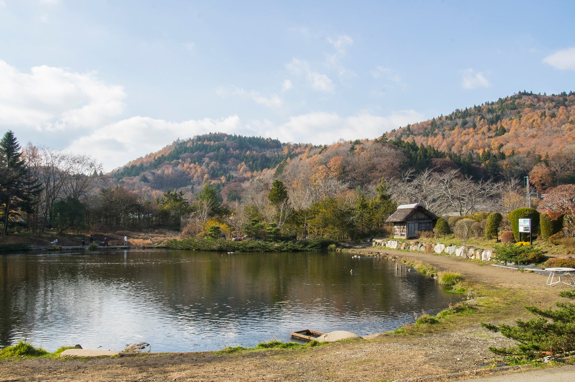 【Early Bird SALE】The Ultimate Pink Escape | 2026 Mt. Fuji Shibazakura & Oshino Hakkai Private Tour from Tokyo