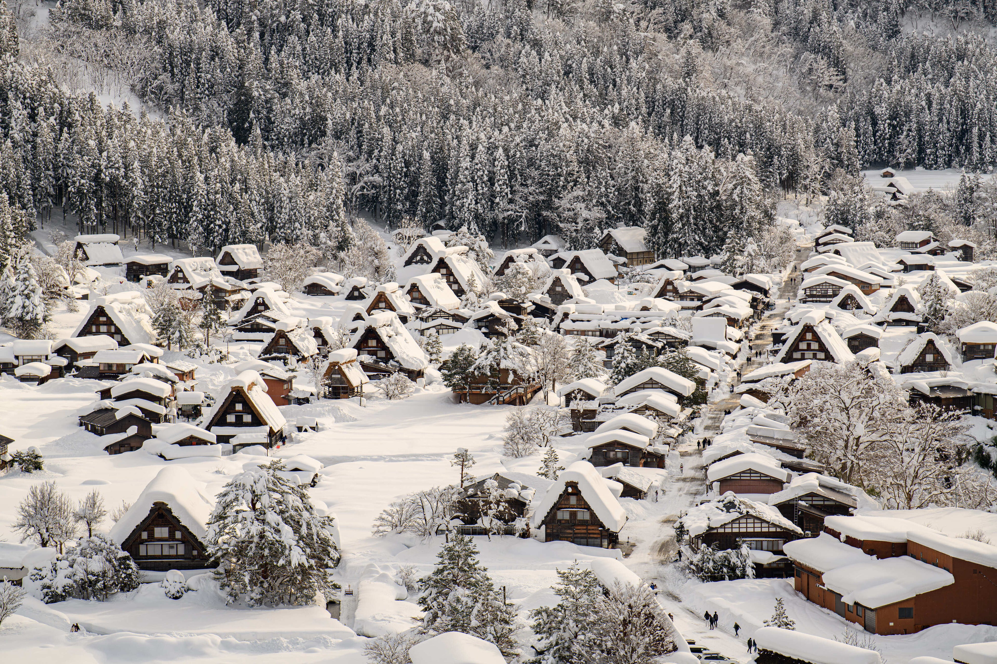 Shirakawa-go & Takayama 2 Day Tour | Travel through heritage to culture from Osaka