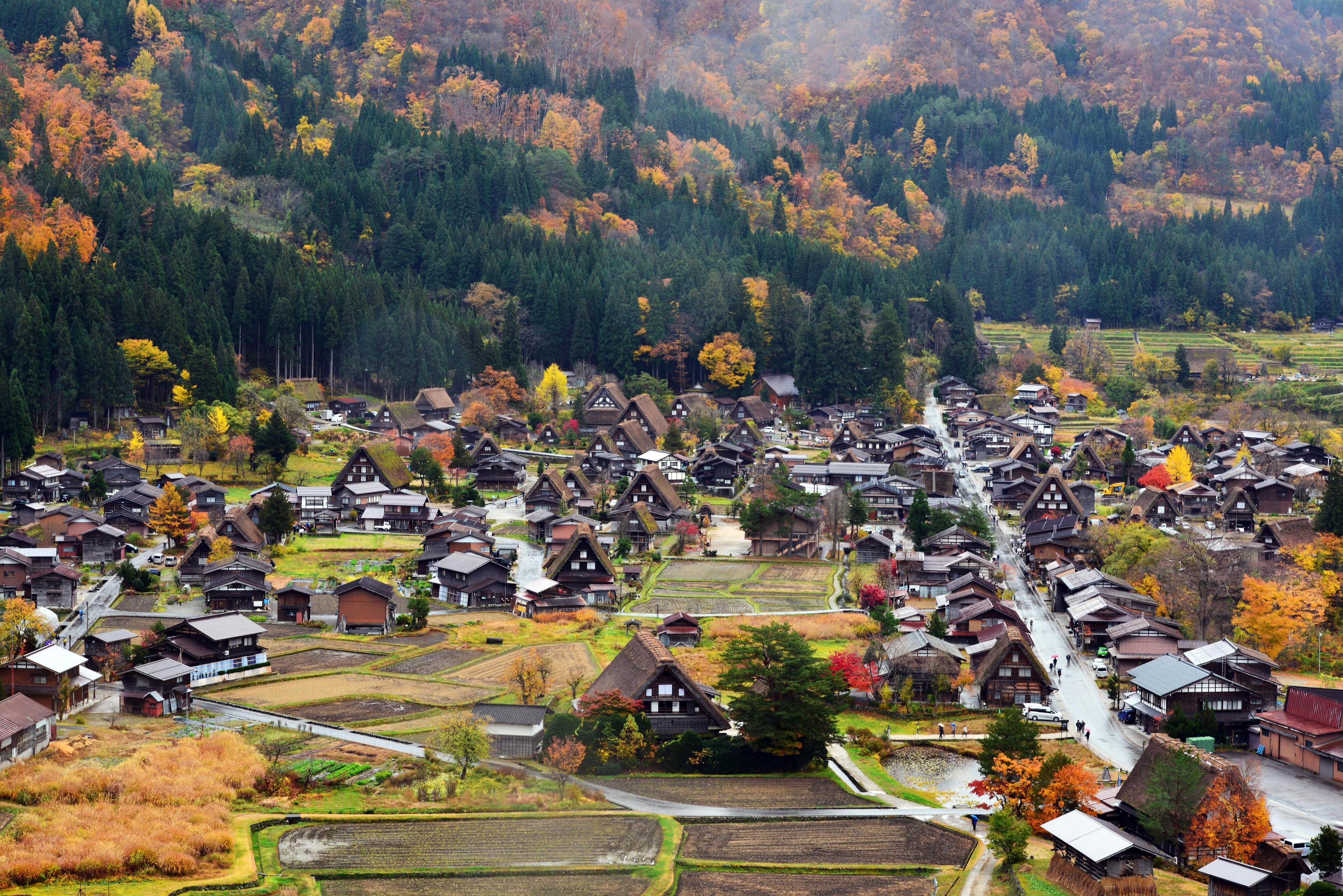 Shirakawa-go & Takayama 2 Day Tour | Travel through heritage to culture from Osaka