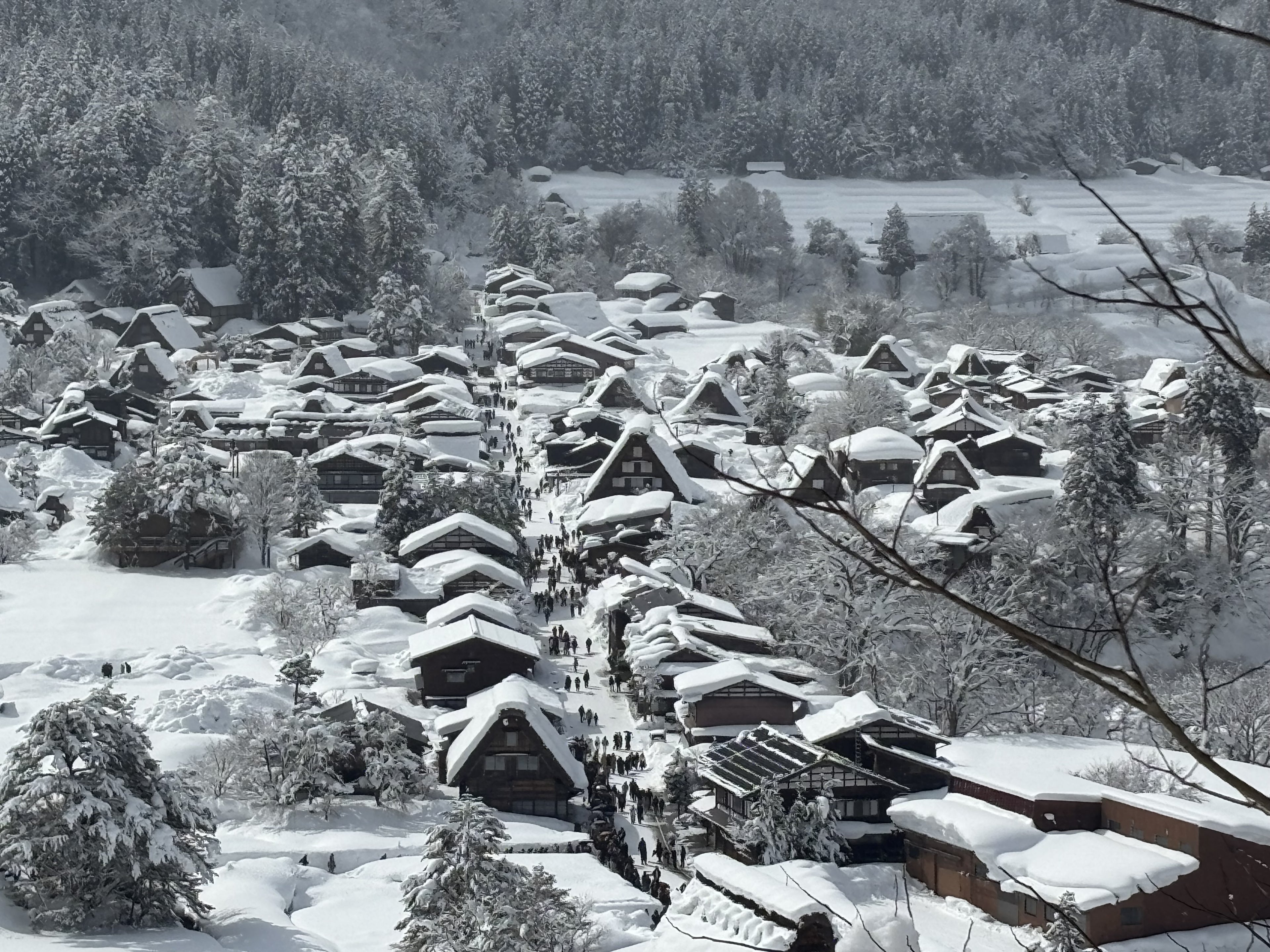 Shirakawa-go 2-Day Tour | Limited 4-Day Winter Light-Up 2026｜Takayama Heritage & Winter Illumination