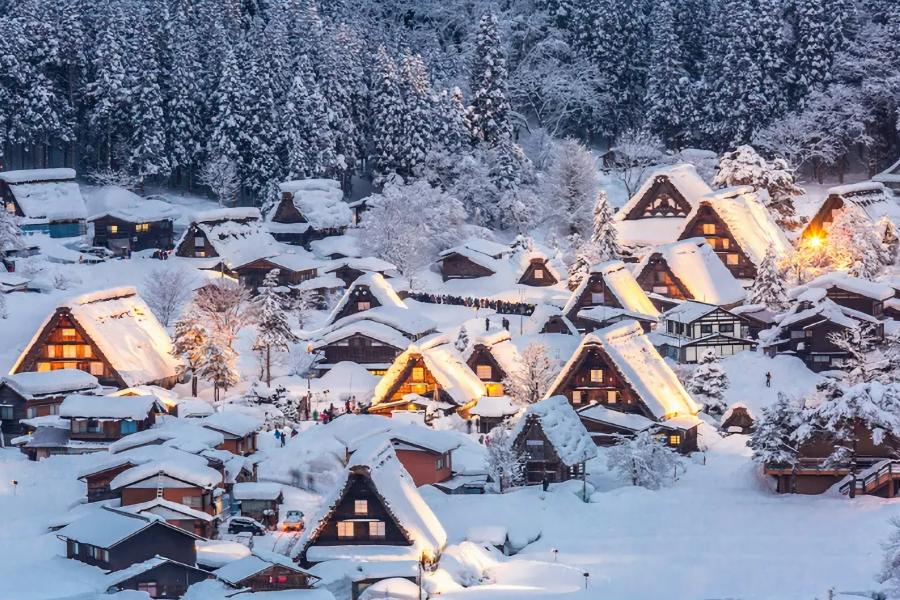 Shirakawa-go 2-Day Tour | Limited 4-Day Winter Light-Up 2026｜Takayama Heritage & Winter Illumination（Including tour guide）