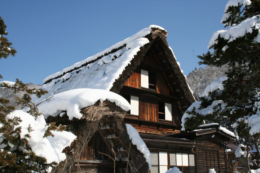 Shirakawa-go 2-Day Tour | Limited 4-Day Winter Light-Up 2026｜Takayama Heritage & Winter Illumination（Including tour guide）