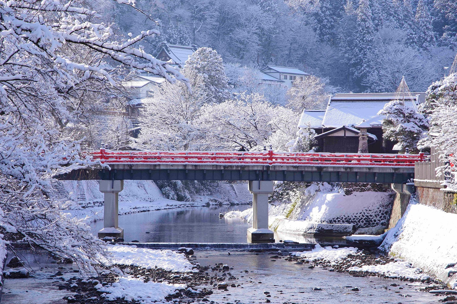 Shirakawa-go 2-Day Tour | Limited 4-Day Winter Light-Up 2026｜Takayama Heritage & Winter Illumination（Including tour guide）