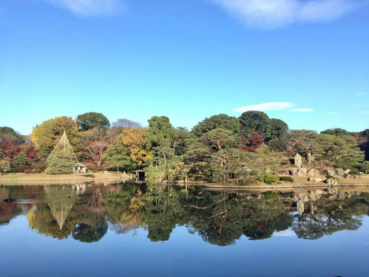 2026 Autumn - Maple Leaves, Alps, Golden Route and Wagyu specialization