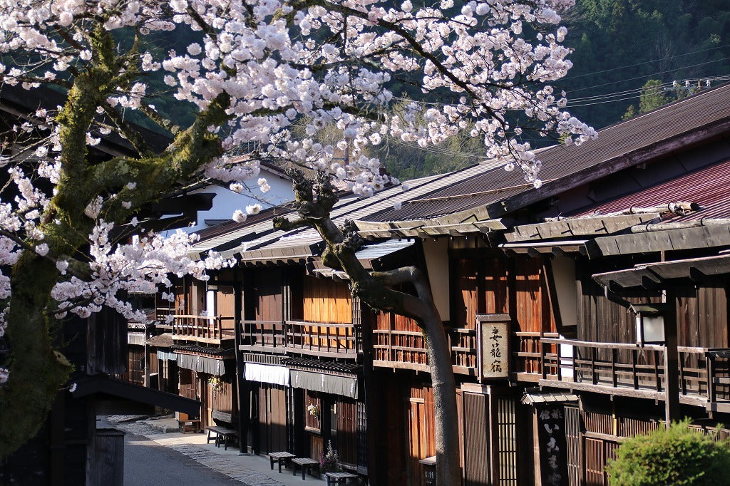 2-Day Tateyama Kurobe Alpine Route & Tsumago Tour from Osaka | Onsen Stay（Including tour guide）