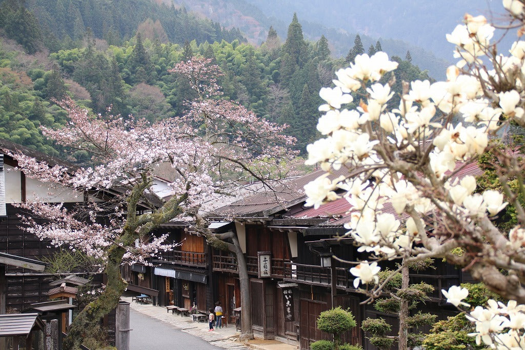 Matsumoto & Tsumago-juku & Takayama 3-Day tour from Tokyo only for 2026 Sakura season（Including tour guide）