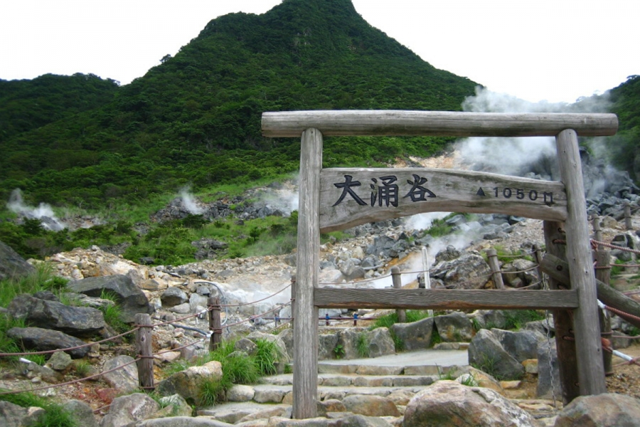 Mt. Fuji & Hakone Day Tour | Owakudani Volcanic Valley hiking & Lake Ashi Torii（Including tour guide）