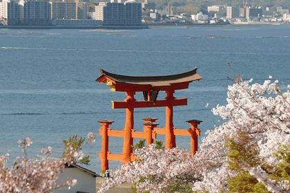 Kobe Beef & Seafood Course